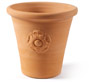 Small Flower pot with Rose (2nd) . 300mm High. Diameter 260mm (at top). Direct from Clay Clay Shop 14.99.
