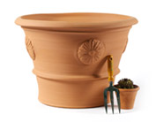 Large Flower Pot with rose (2nd) . 440mm High. Diameter 700mm (at top) .Direct from Clay Clay Shop 129.99.